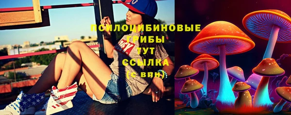 стаф Горнозаводск