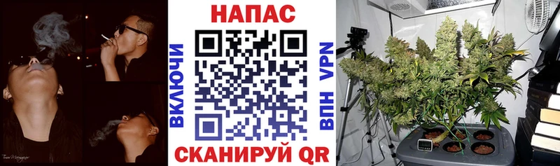 Купить где  Асино  Марихуана THC 21% 